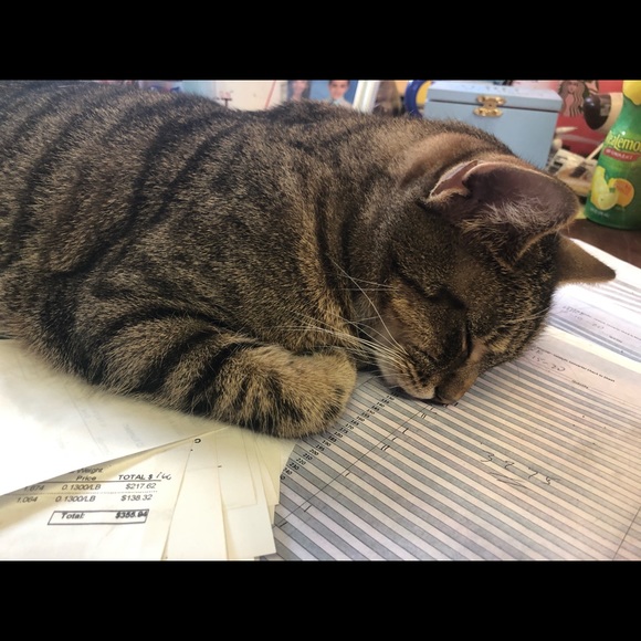 Meet your Posher, Static - Picture 7 of 16